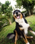 133385_119588171531935_847186710_o