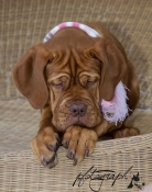 134639_121833997974019_446531720_o