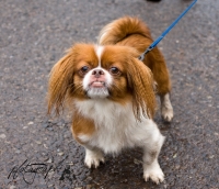 56477_122605607896858_364691176_o