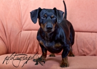 57402_118902571600495_559337390_o